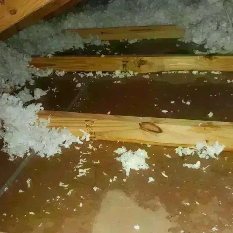 Attic Water Damage in Blue Bell, PA